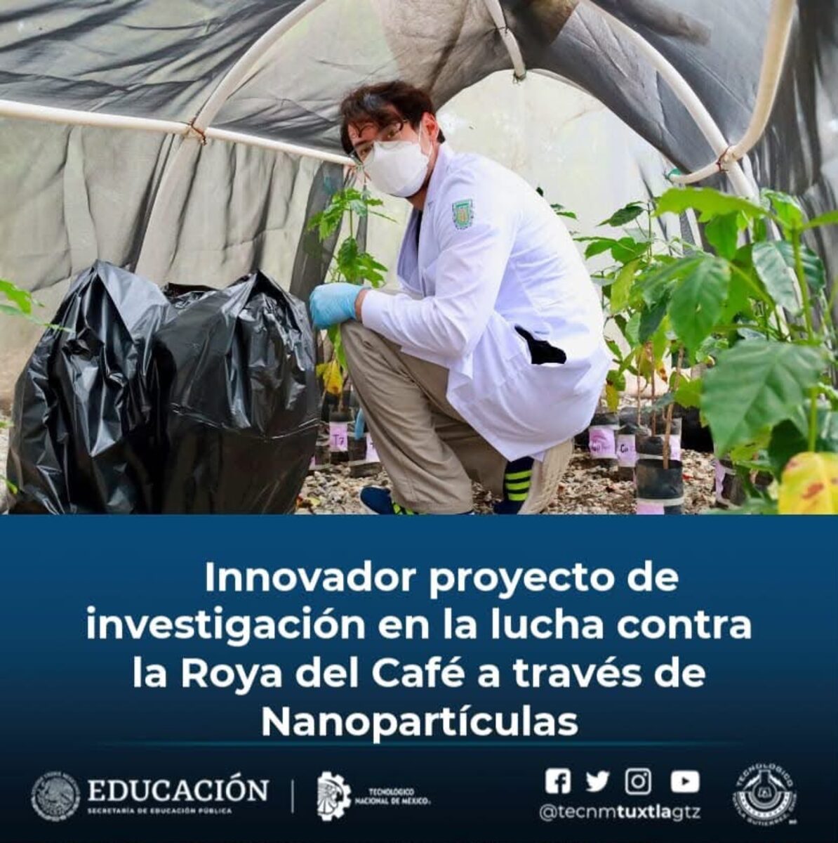 Proyecto de investigación contra la roya del café mediante nanopartículas