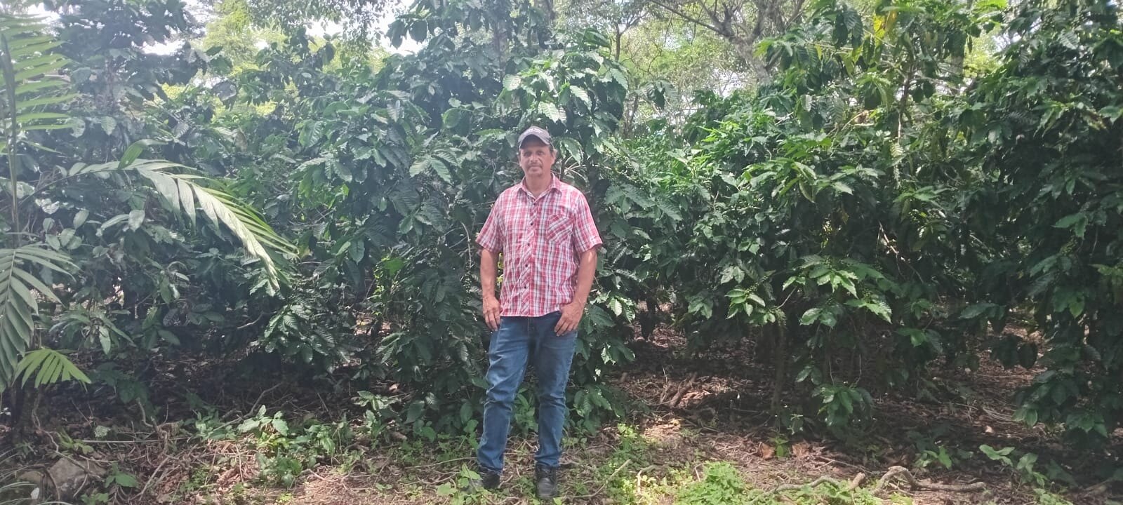 Eric Jesús Córdoba Arroyo, Finca Azahar — Zentla, Veracruz