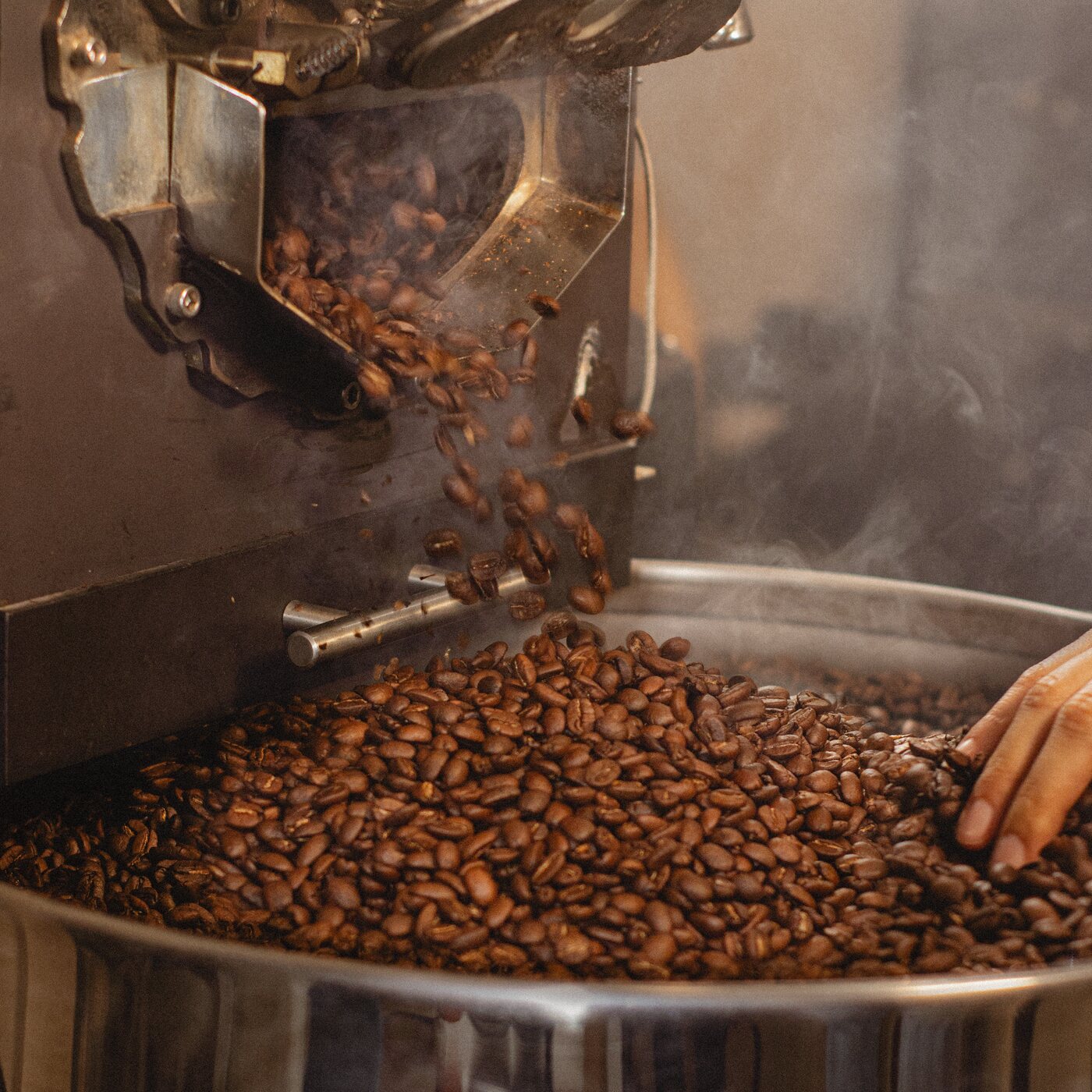 Café saliendo del cilindro hacia la enfriadora del tostador mexicano marca Cafeli